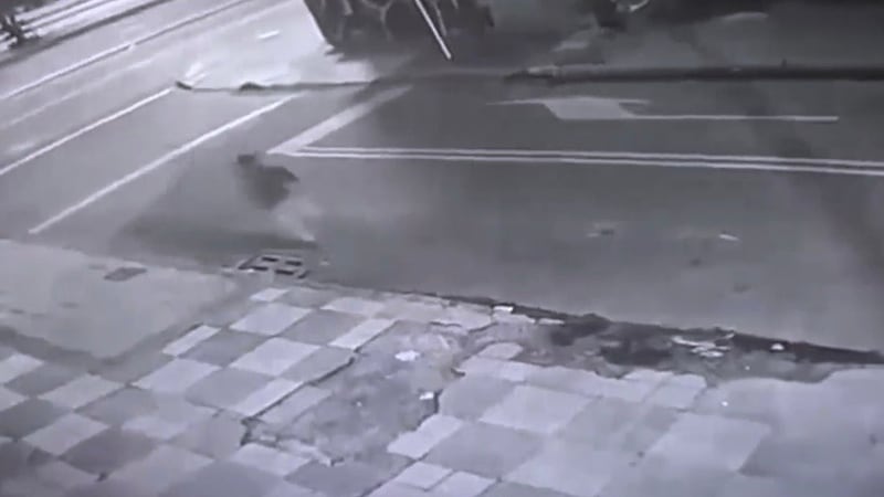 Terrorífico hallazgo en un taxi de Bogotá: Lo que escondía el conductor bajo su silla tras intentar huir