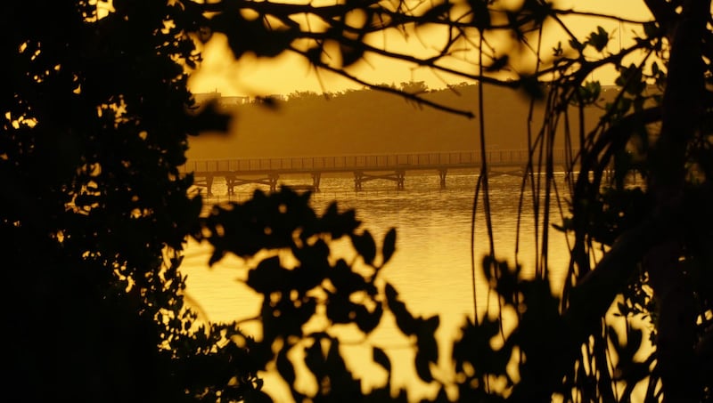 Ecoparque Mallorquín.