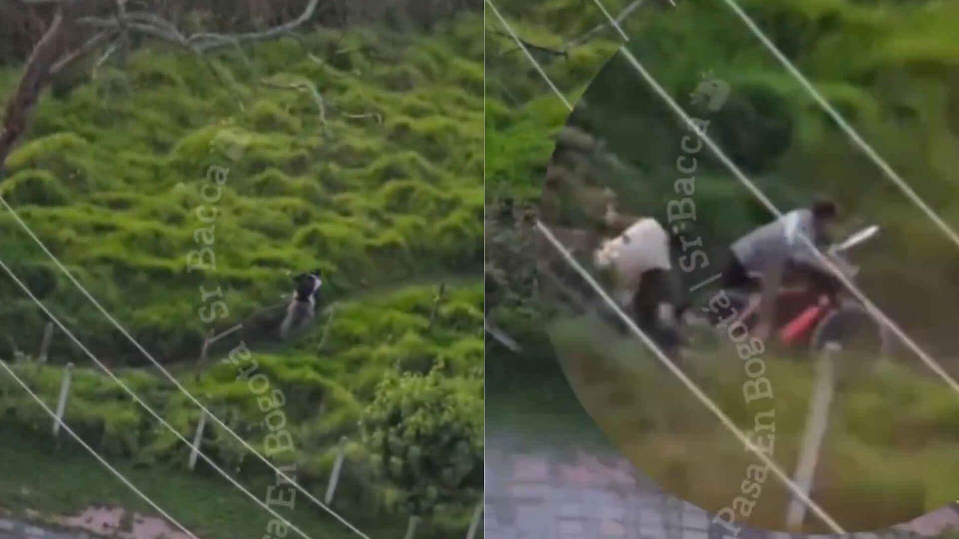 Terror en Engativá: video muestra a asaltantes empuñando machetes contra transeúntes