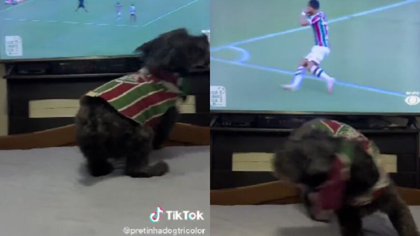 Mascota de Fluminense