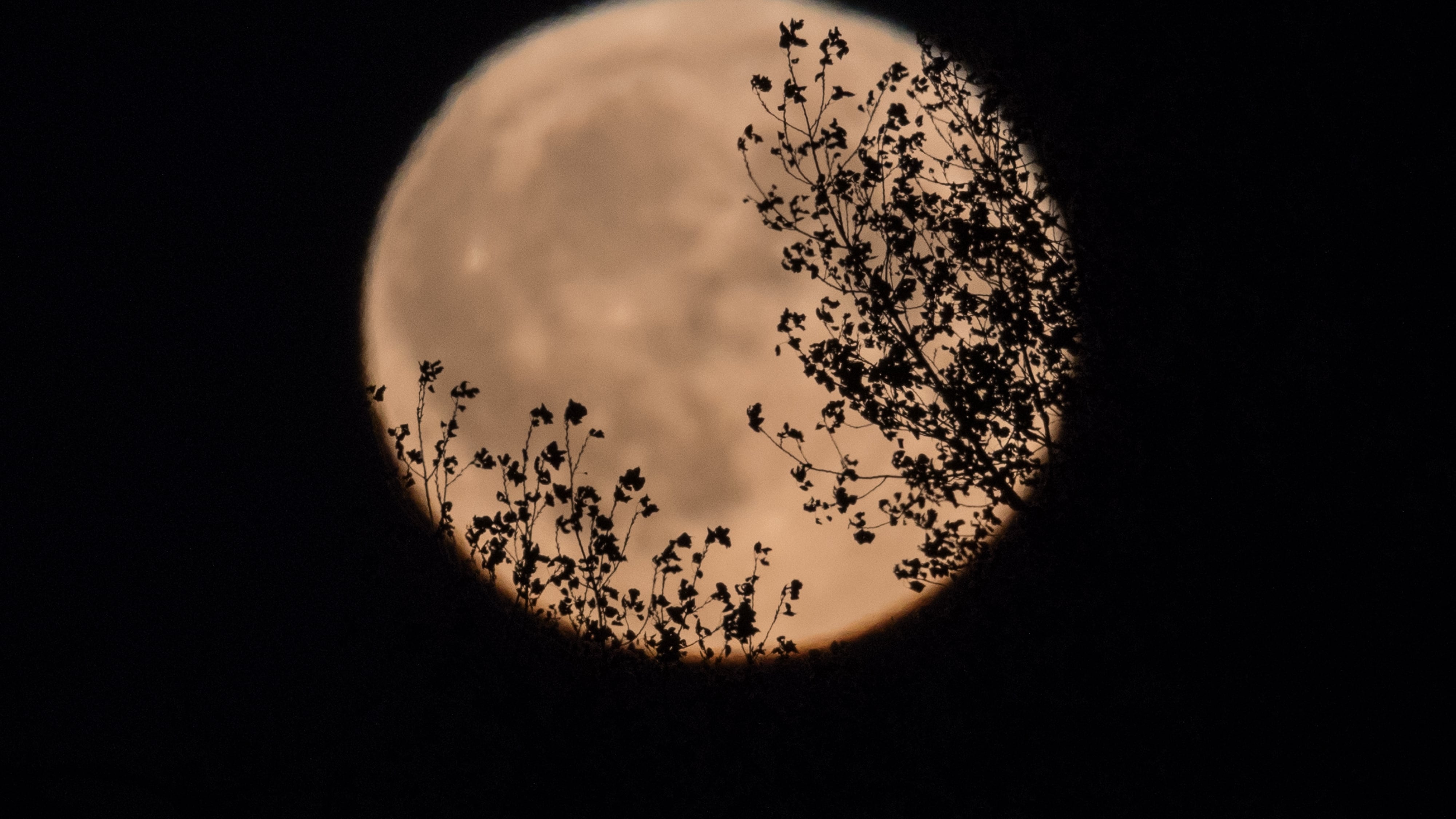 Rituales de luna llena para este 27 de noviembre para el amor y la prosperidad en la comodidad de su casa