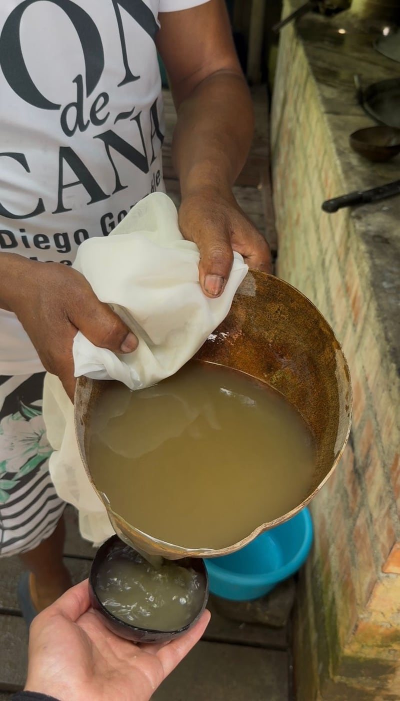 Ruta del Viche en Guachalito
