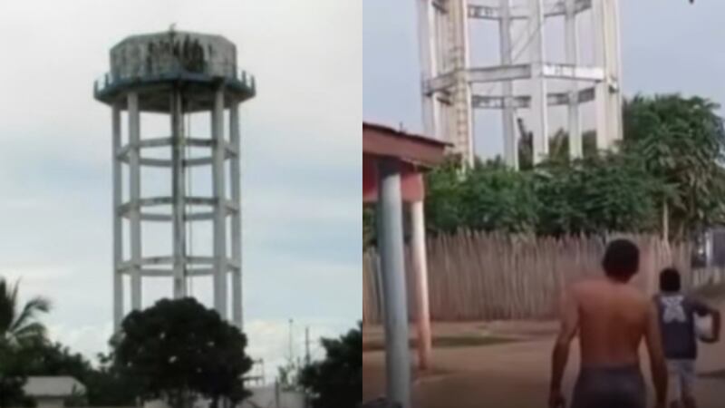 Lamentable: hombre murió al lanzarse de un tanque de 40 metros por un ataque de abejas