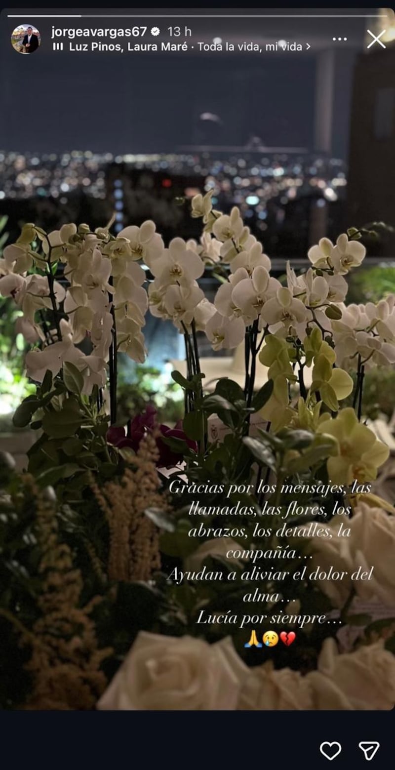 Jorge Alfredo Vargas - mamá