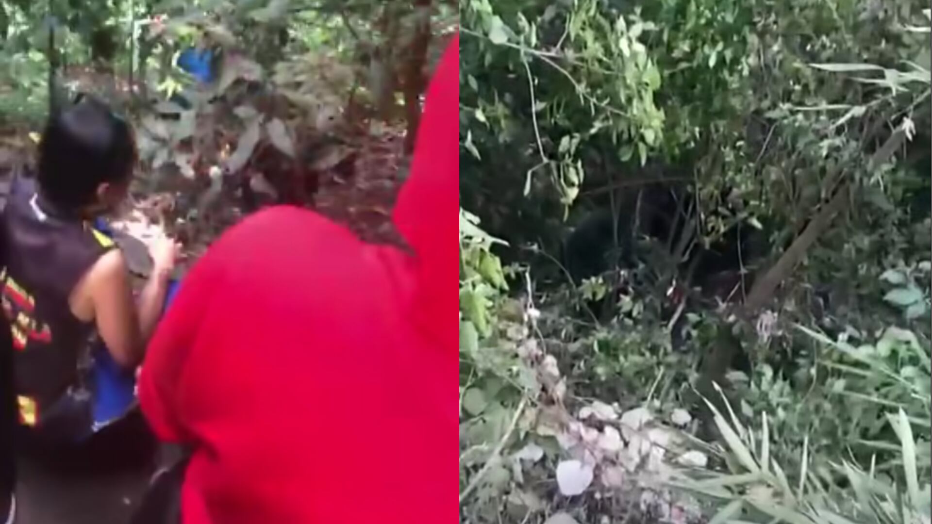 Accidente de hinchas del Pereira en La Línea - Fotos: Capturas de pantalla de videos tomados por testigos el 22 de septiembre del 2025