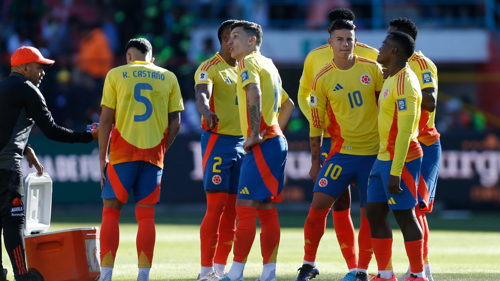 Selección Colombia - Foto: Getty