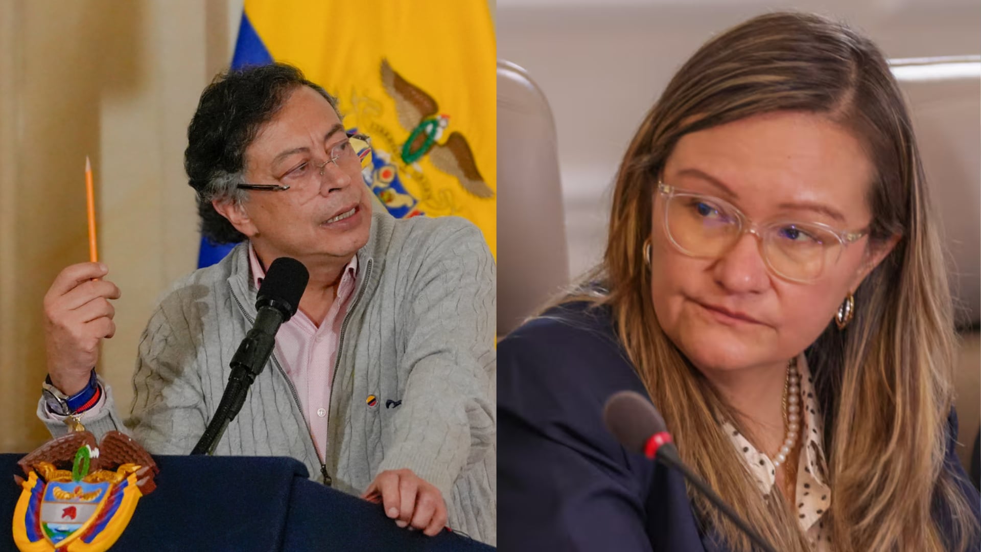 Cielo Rusinque y Consejo de Estado