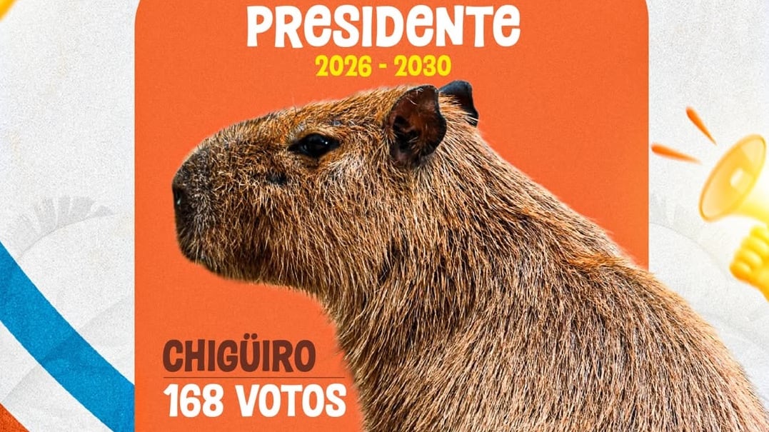 Foto niños eligieron a un chigüiro como presidente del Zoológico de Barranquilla en las Zooelecciones 2026.