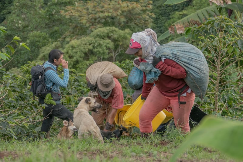 Largometraje Andariega