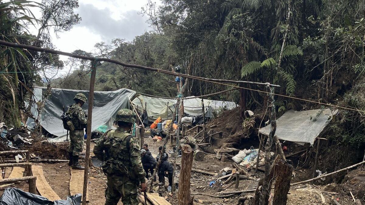 Autoridades lograron levantar a más de 600 mineros ilegales en el Parque Nacional Farallones.