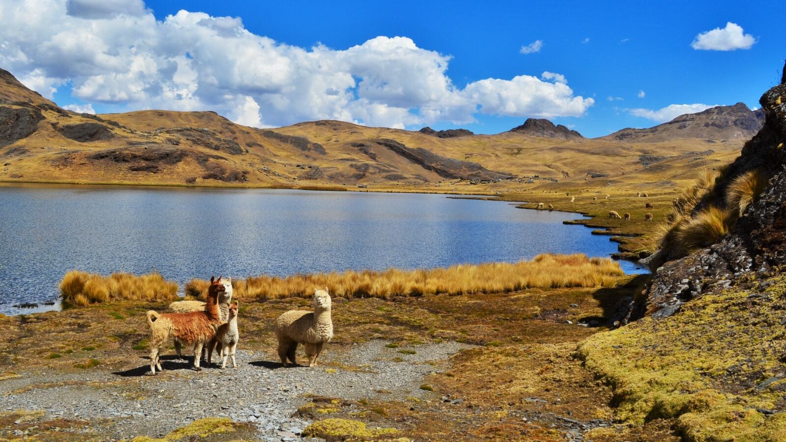 Cuatro experiencias para vivir la Semana Santa en Perú.