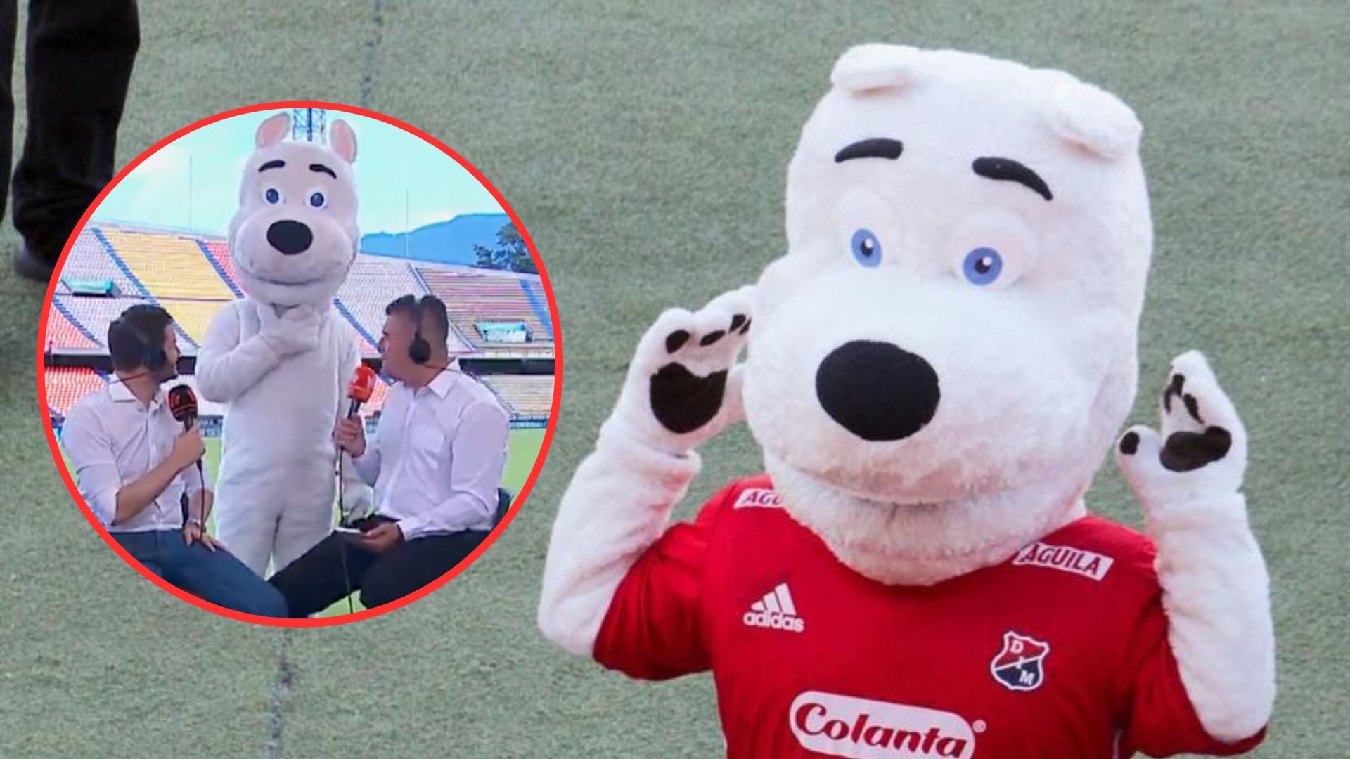 Periodista de Win Sports se disfrazó de la mascota del Medellín e interrumpió un programa