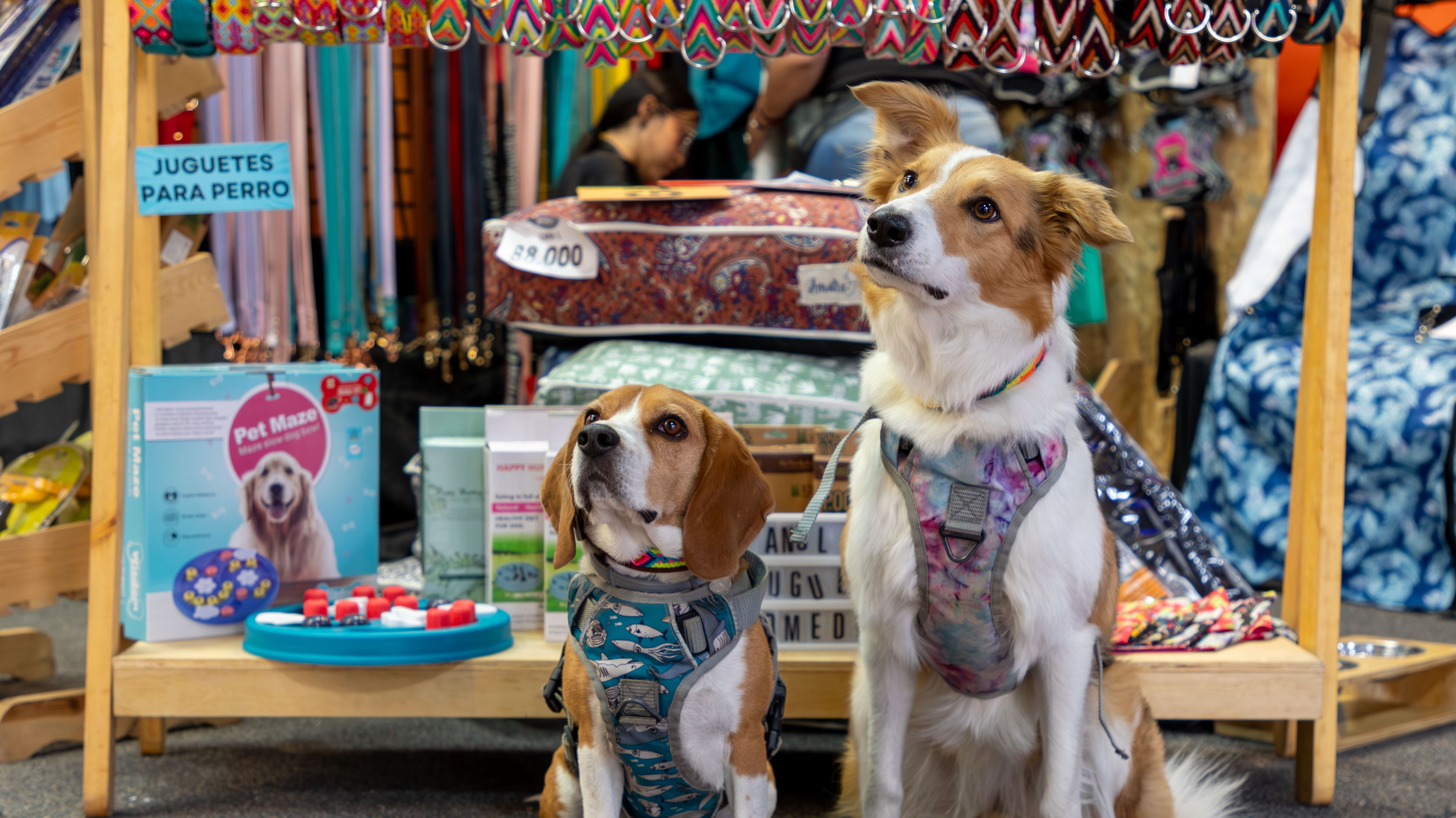 Expopet 2025 - planes mascotas Bogotá