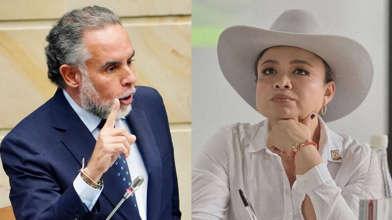 “Por fin hago que te duela una”: el agarrón entre Armando Benedetti y la representante Lina María Garrido