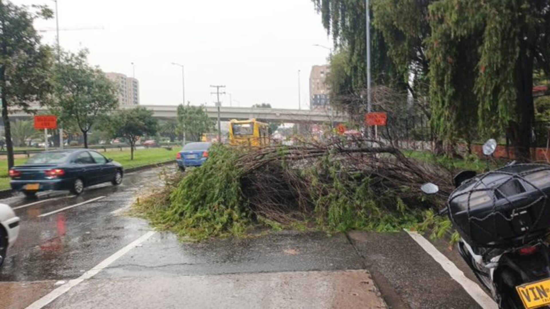 Prepárese para el trancón: el diluvio en Bogotá generó la caída de un árbol en la 26 y tiene bloqueado el paso