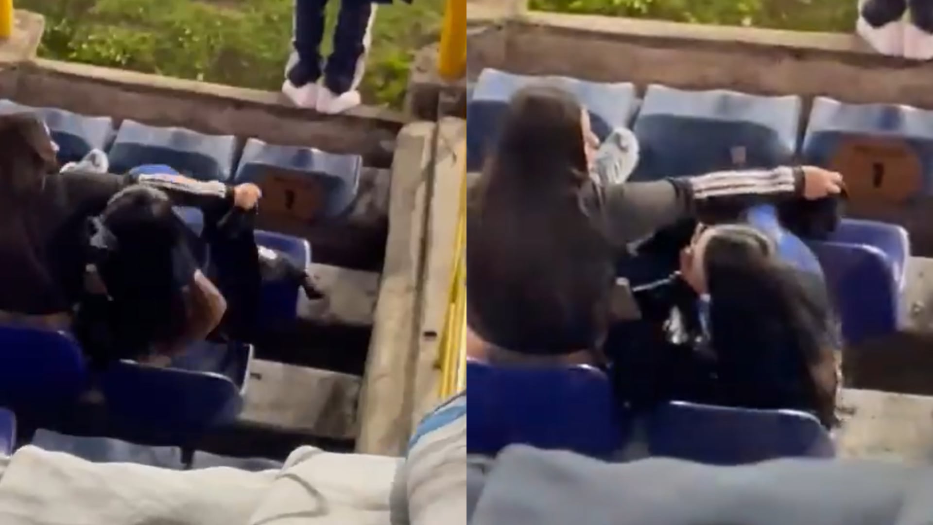 Millonarios hincha - Foto: Redes sociales