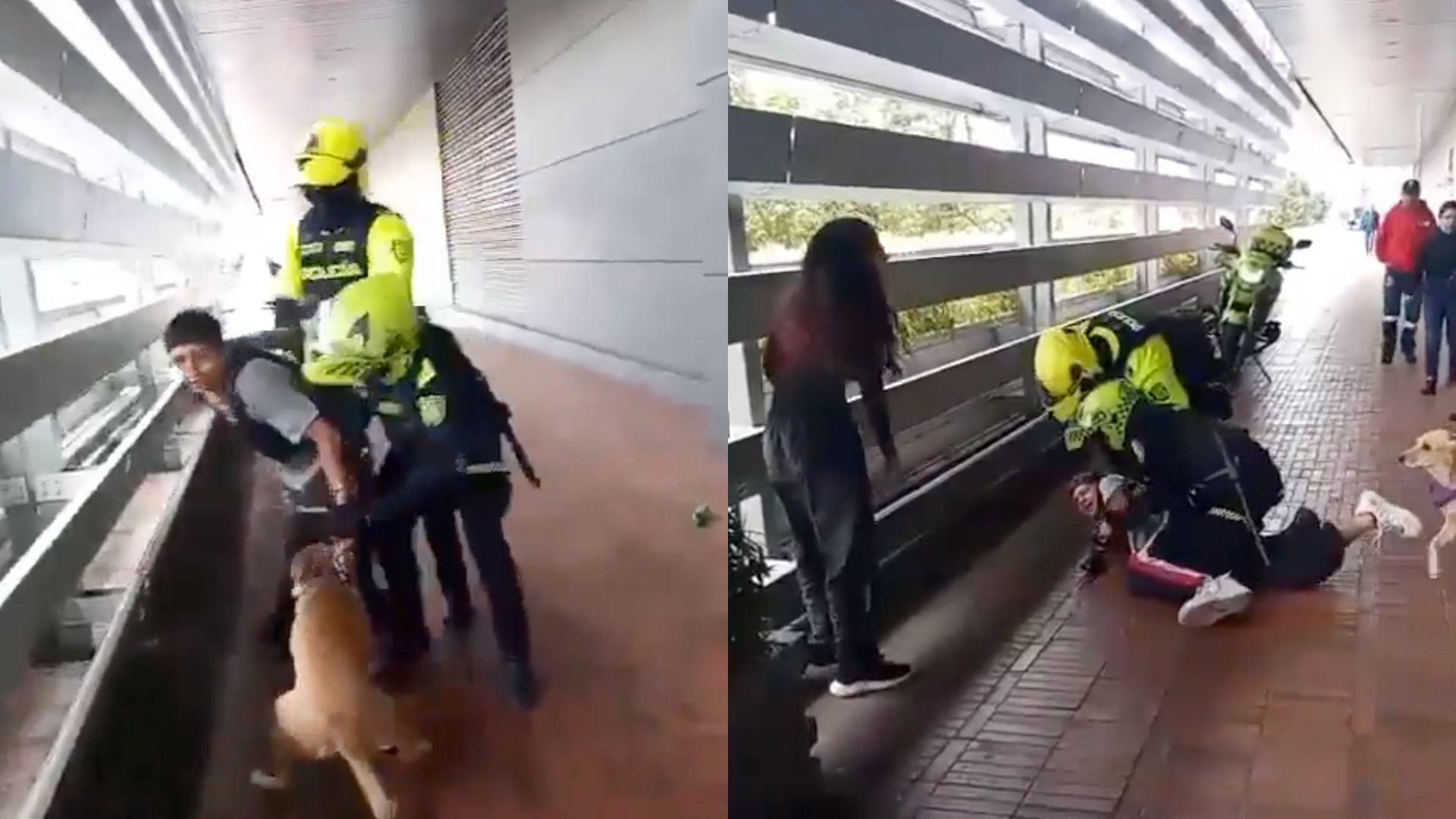 Video muestra polémico procedimiento policial contra músico callejero en Bogotá