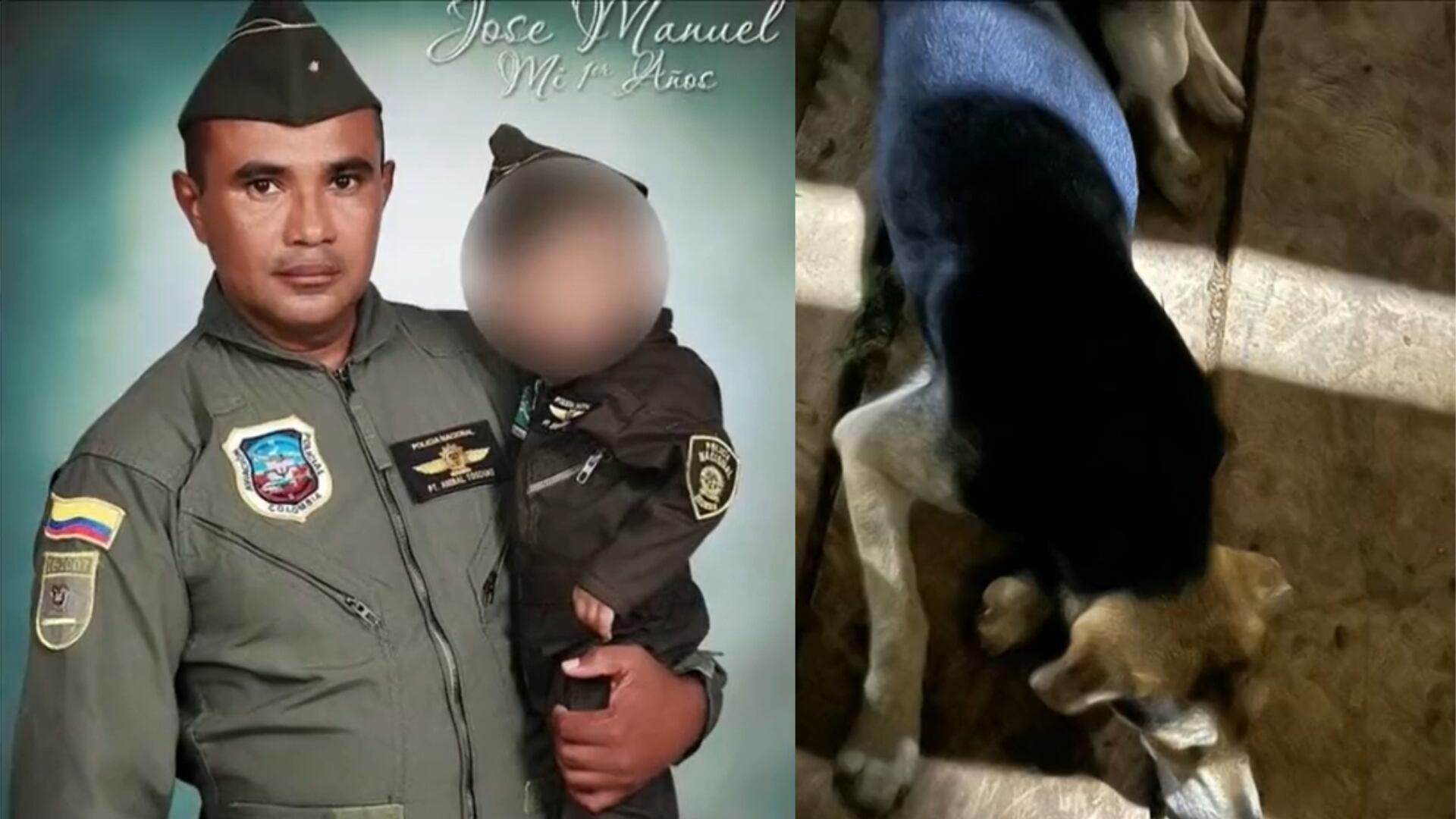 Desde hace 5 días, buscan a policía que salió a buscar leña junto a su perro en la selva del Chocó