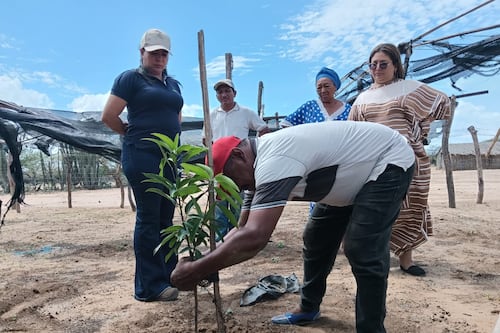 Mes Mundial del Agua: más de 600 personas en comunidades Wayúu de La Guajira avanzan en acceso y gestión sostenible de este recurso