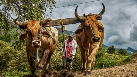 Exposición fotográfica 'Semillas de Paz' presenta imágenes del espacio de reincorporación en Tierra Grata, Cesar.