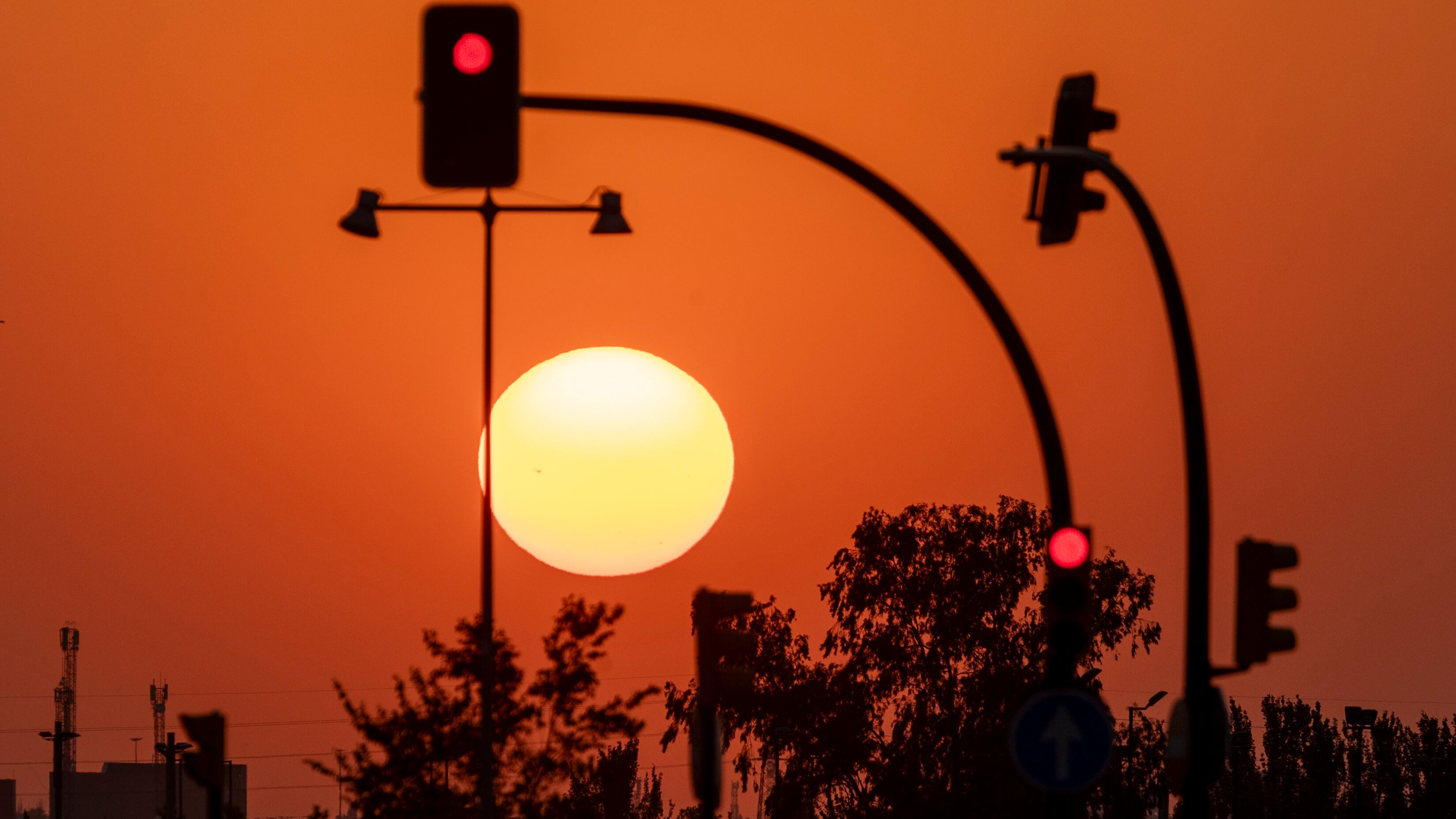 Imagen de referencia.