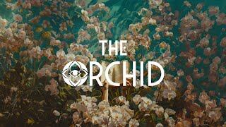 The Orchid: El código secreto de las diosas modernas