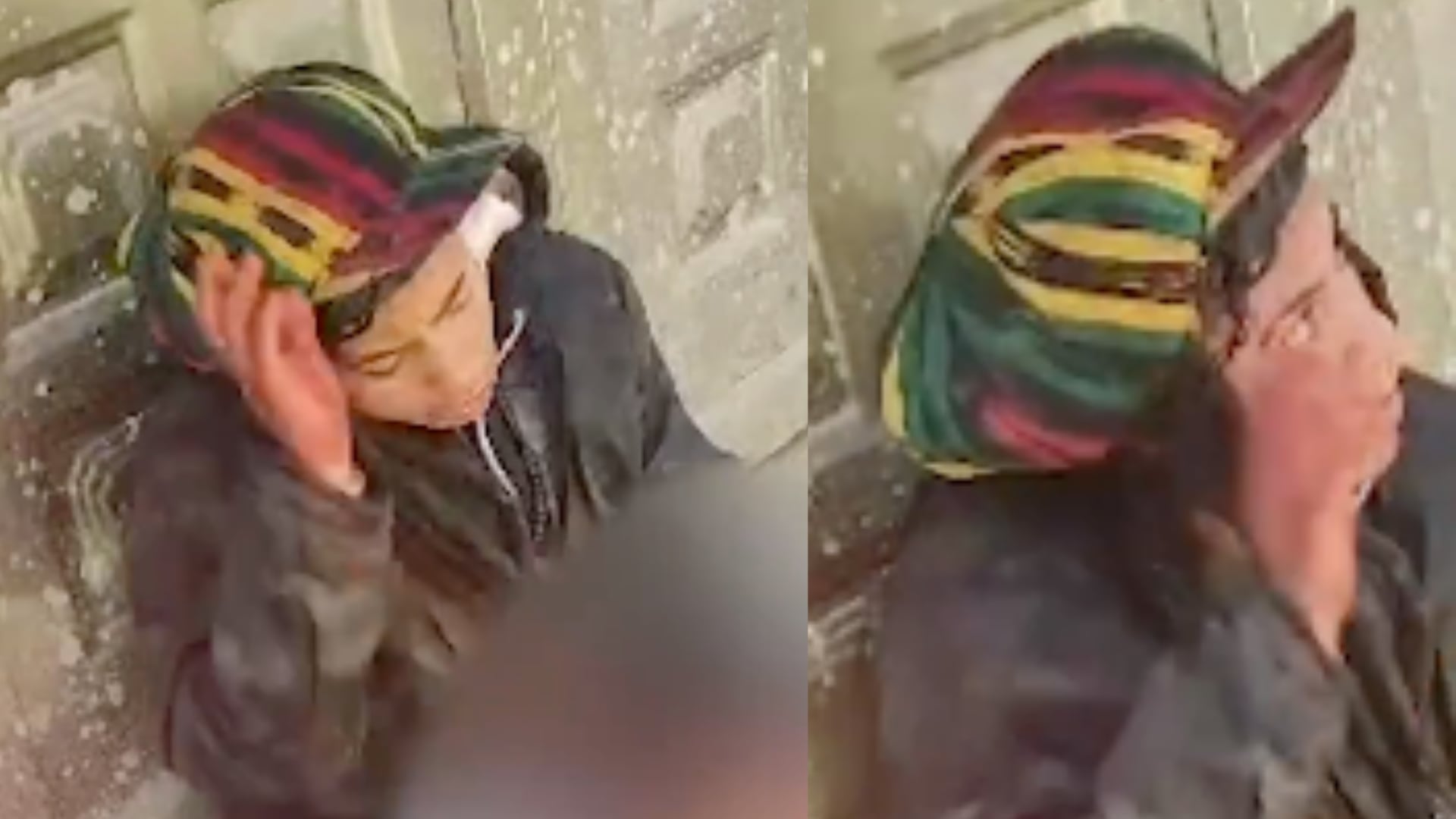 Habitante de calle se comió un perro en Bogotá.