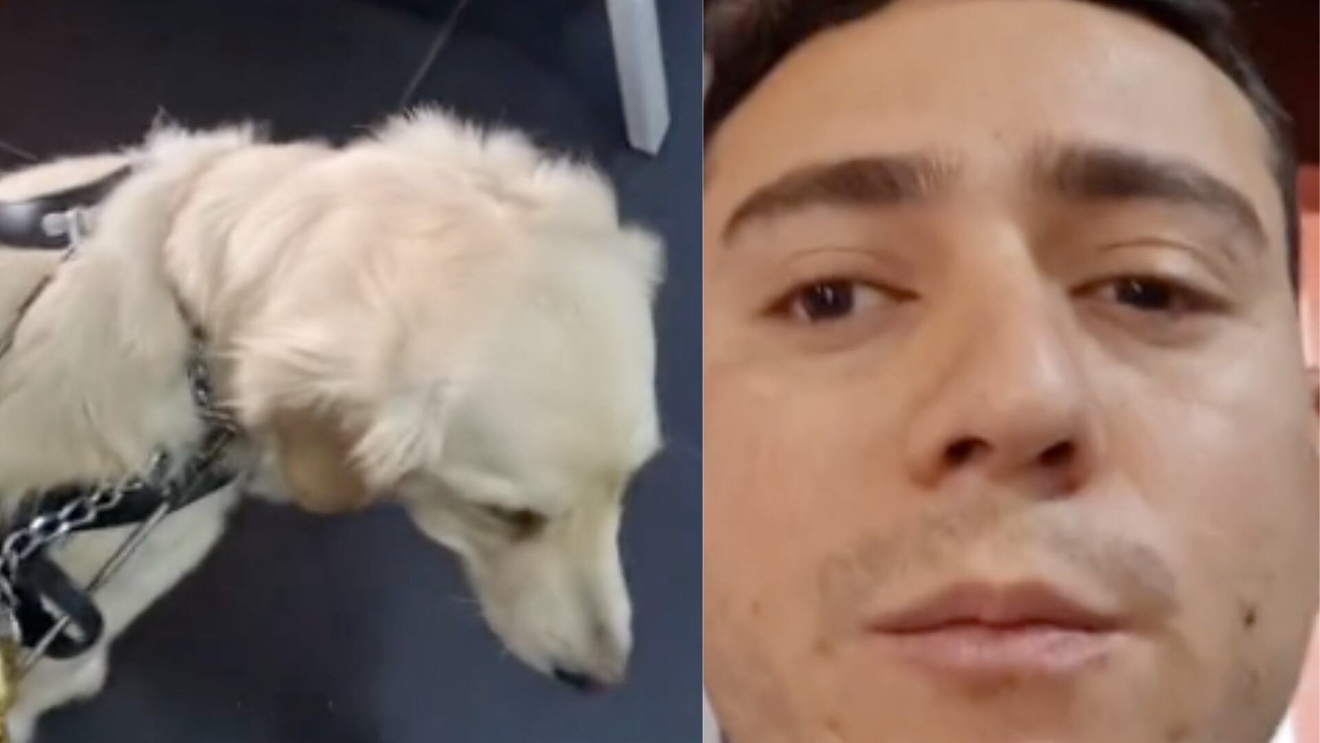 Discapacitado visual grabó discriminación en Bodytech por no dejarlo entrar con su perro guía