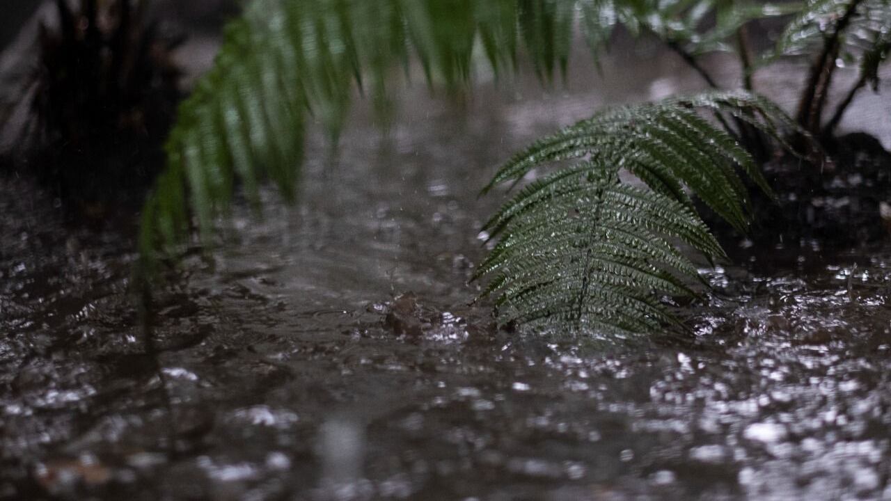 La nueva ministra de Ambiente y Desarrollo Sostenible, Susana Muhamad, publica los lineamientos para el uso de aguas lluvias y el manejo de sedimentos.