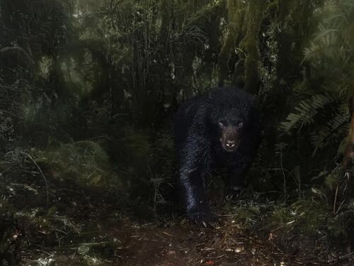 Estas son las mejores fotos de Close Up del año