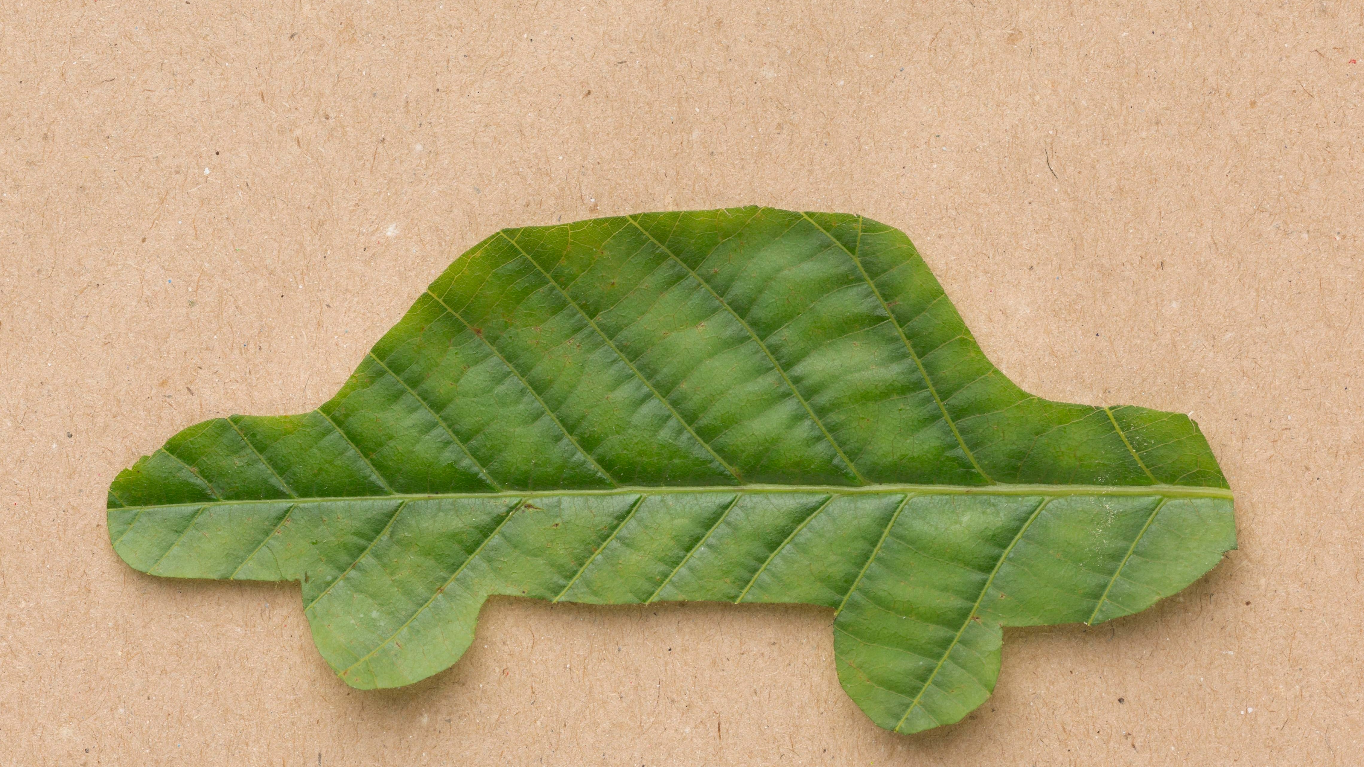 En la carrera hacia una movilidad más limpia, los autos híbridos y eléctricos se han convertido en protagonistas. Foto: Freepik.