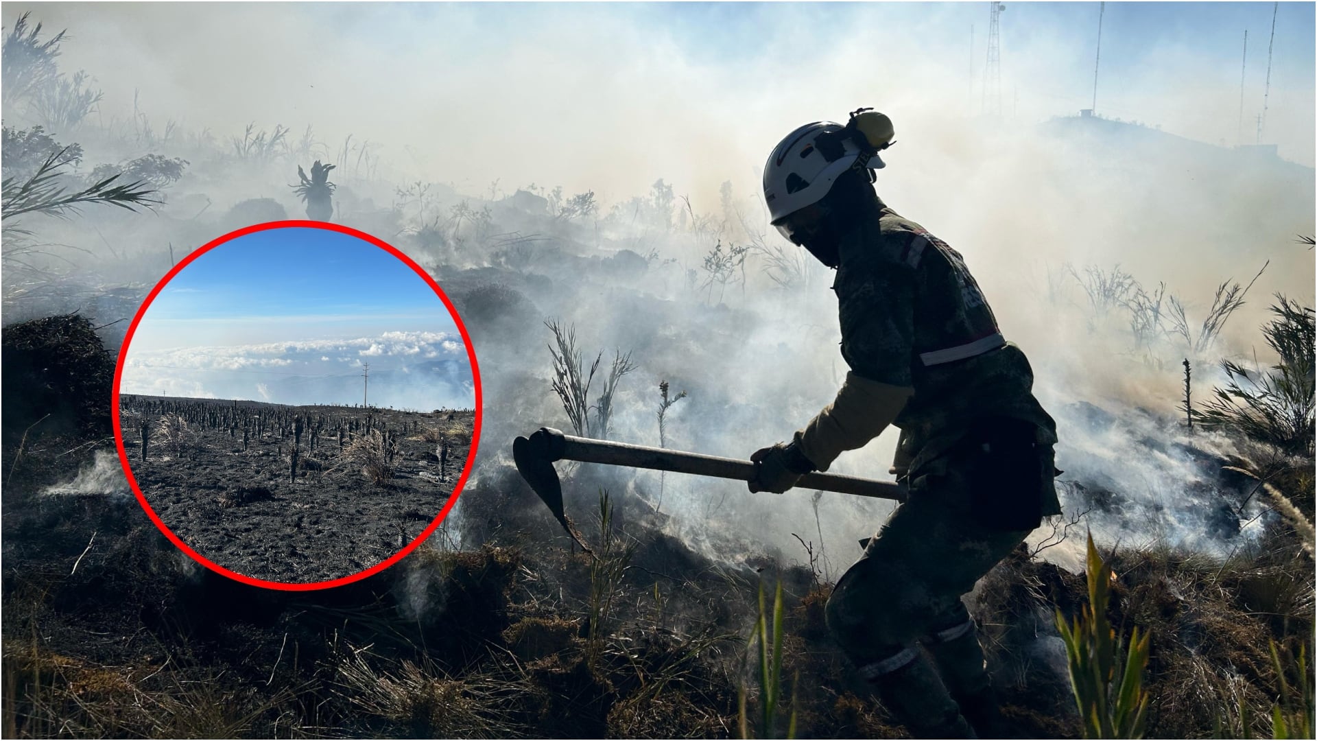 Arden los frailejones en el Páramo de Berlín: 400 hectáreas están en riesgo de ser alcazadas por el incendio forestal (Prensa Ejército Nacional)
