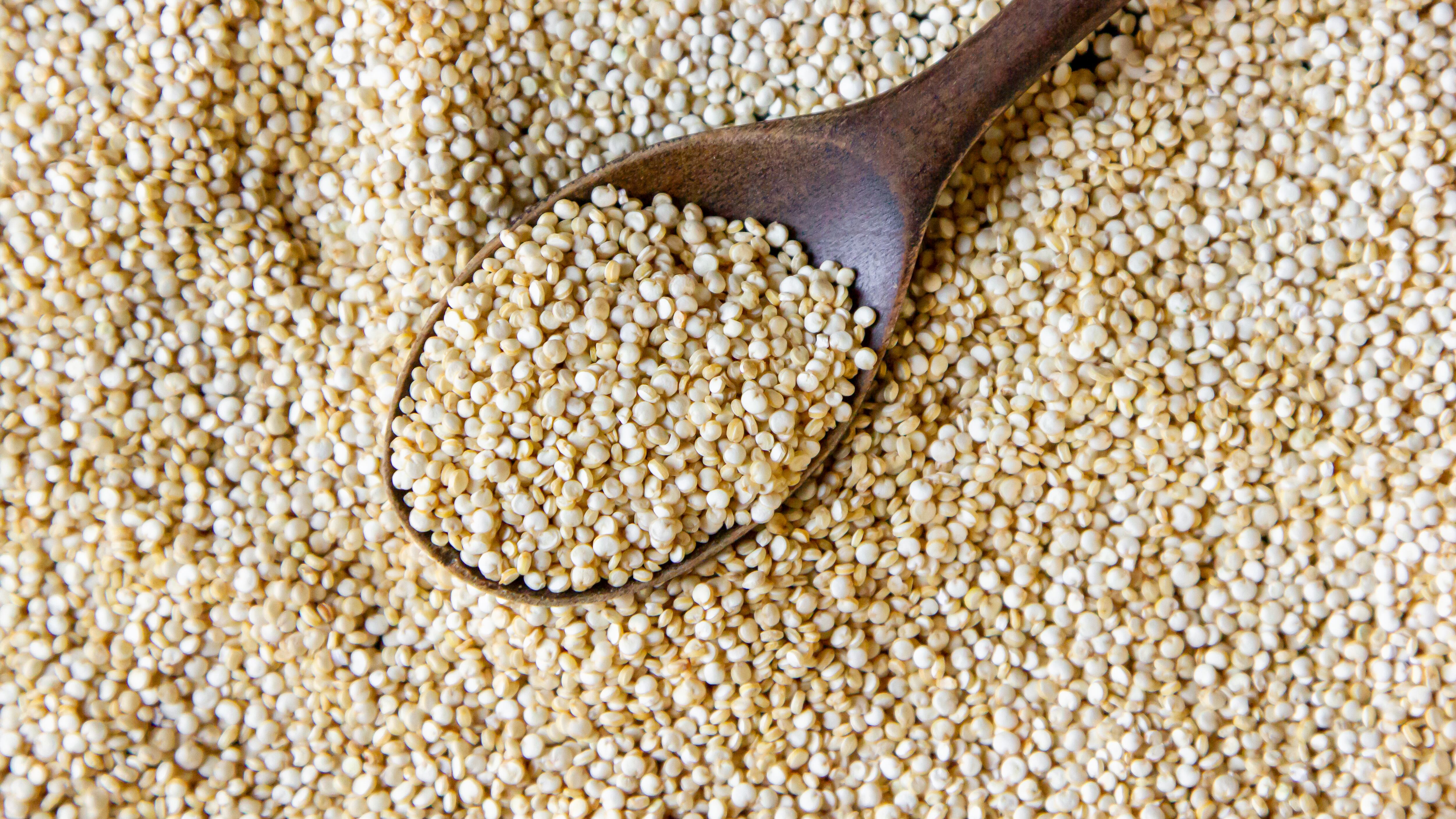 La quinua, o quinoa, se considera un “superalimento” recomendado para ser incluido en nuestra alimentación por su alto valor nutricional. Foto: Freepik.