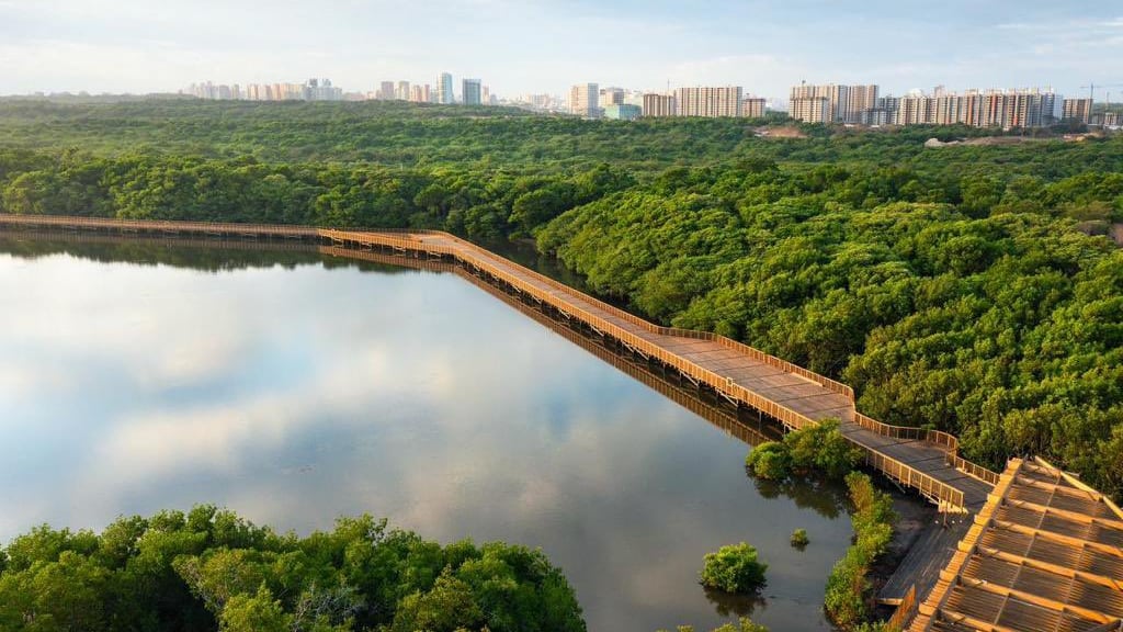 Imagen del Ecoparque Ciénaga de Mallorquín en Barranquilla.