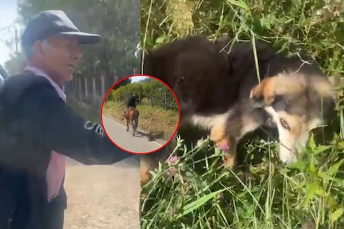 Adulto mayor arrastró del cuello a un perrito mientras montaba a caballo en Boyacá
