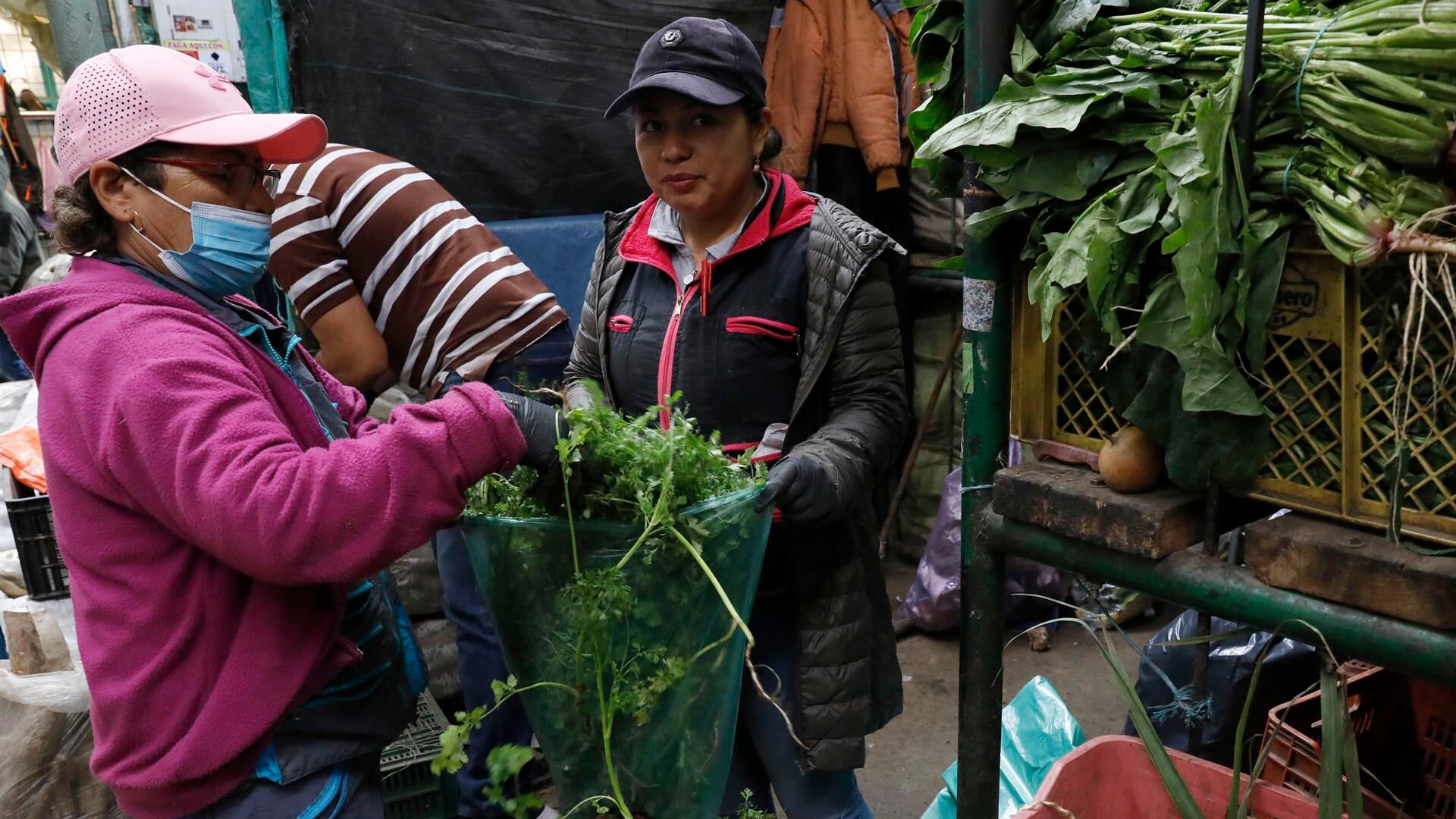 Comerciantes trabajan en la venta y distribución de alimentos en la plaza de mercado Corabastos, hoy, en Bogotá (Colombia). El alto costo de los alimentos se ha convertido en el villano de los hogares colombianos por su incidencia en el índice de Precios al Consumidor (IPC), cuyo resultado de marzo será divulgado este martes por el Gobierno.