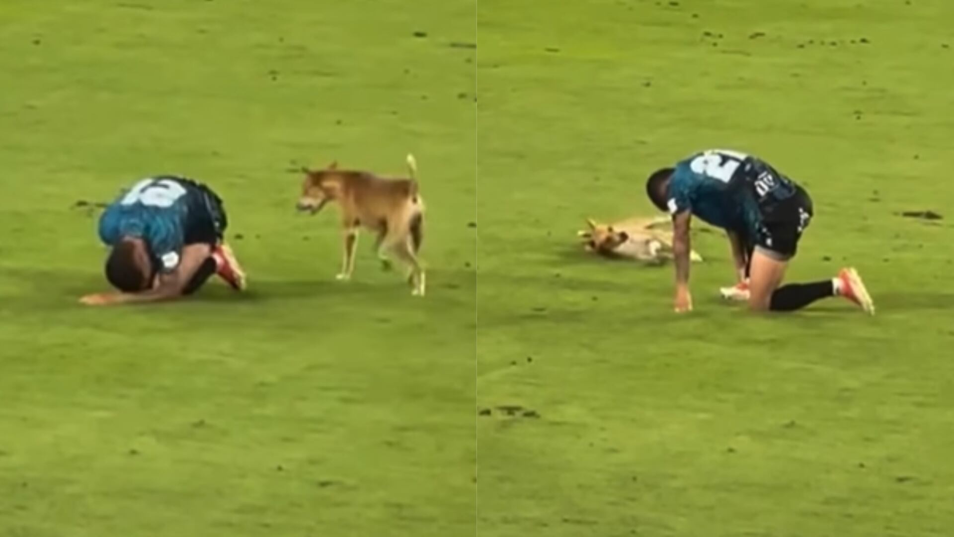 Perrito se metió a la cancha a jugar con jugador del Junior - Fotos: Capturas de pantalla de un video grabado desde la tribuna tomadas el 19 de octubre del 2025