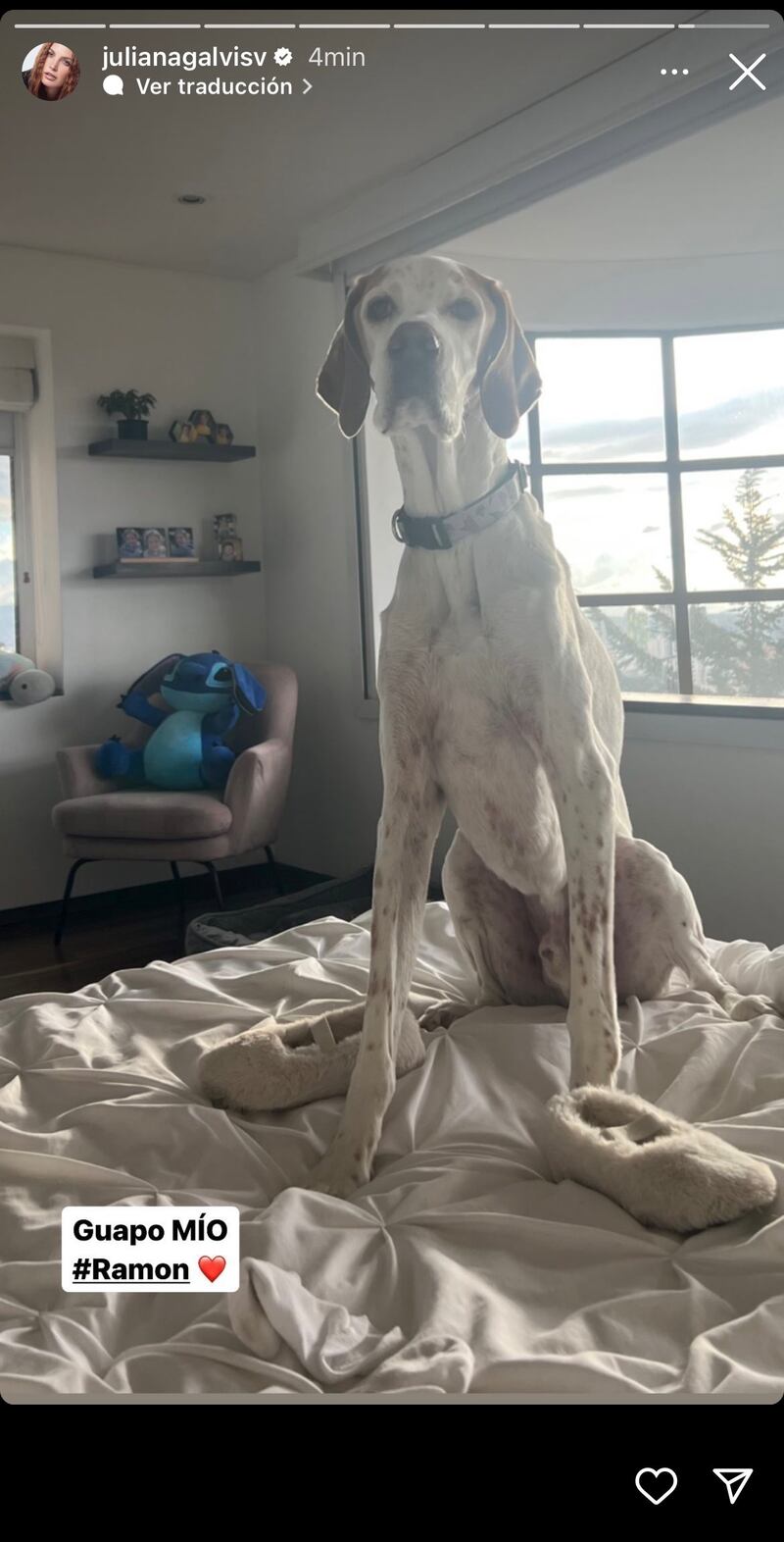 Juliana Galvis a quien se adueñó de su cama y de su corazón