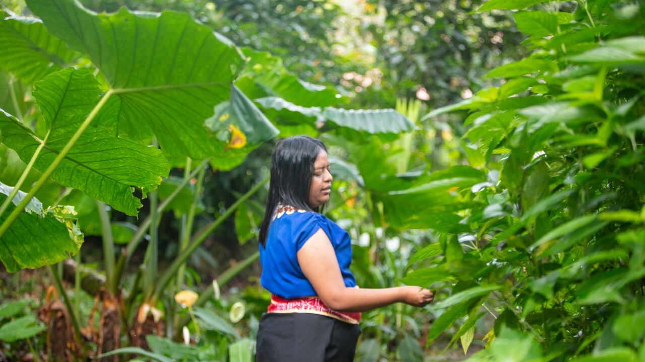 Fondo Mujer Libre y Productiva lanza convocatoria Autonomía y Negocios Verdes para empoderar a organizaciones de mujeres en Colombia.