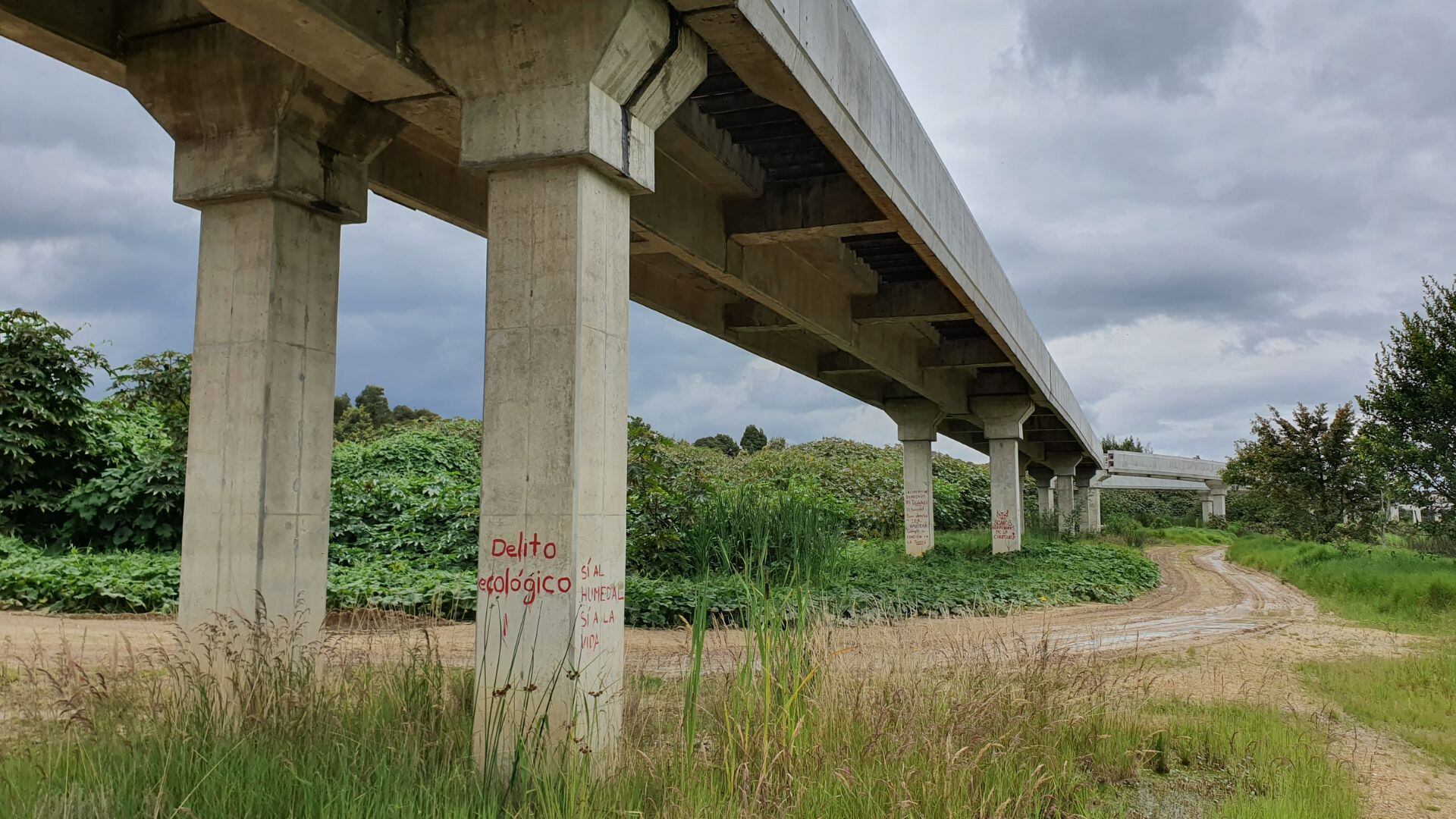 El puente fantasma de Bogotá: una promesa inconclusa entre juncos, garzas y brujería