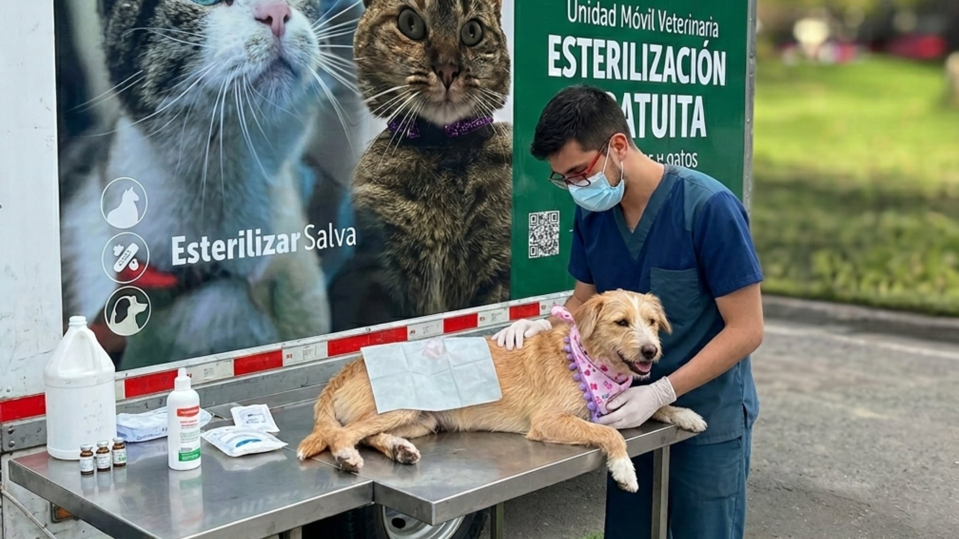 Abren cupos para esterilización en Bogotá