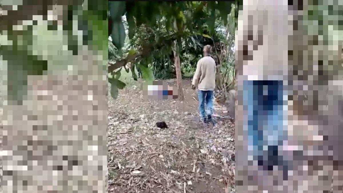 La comunidad del barrio Decepaz encontró el cuerpo de una mujer colgado de un árbol al oriente de Cali.