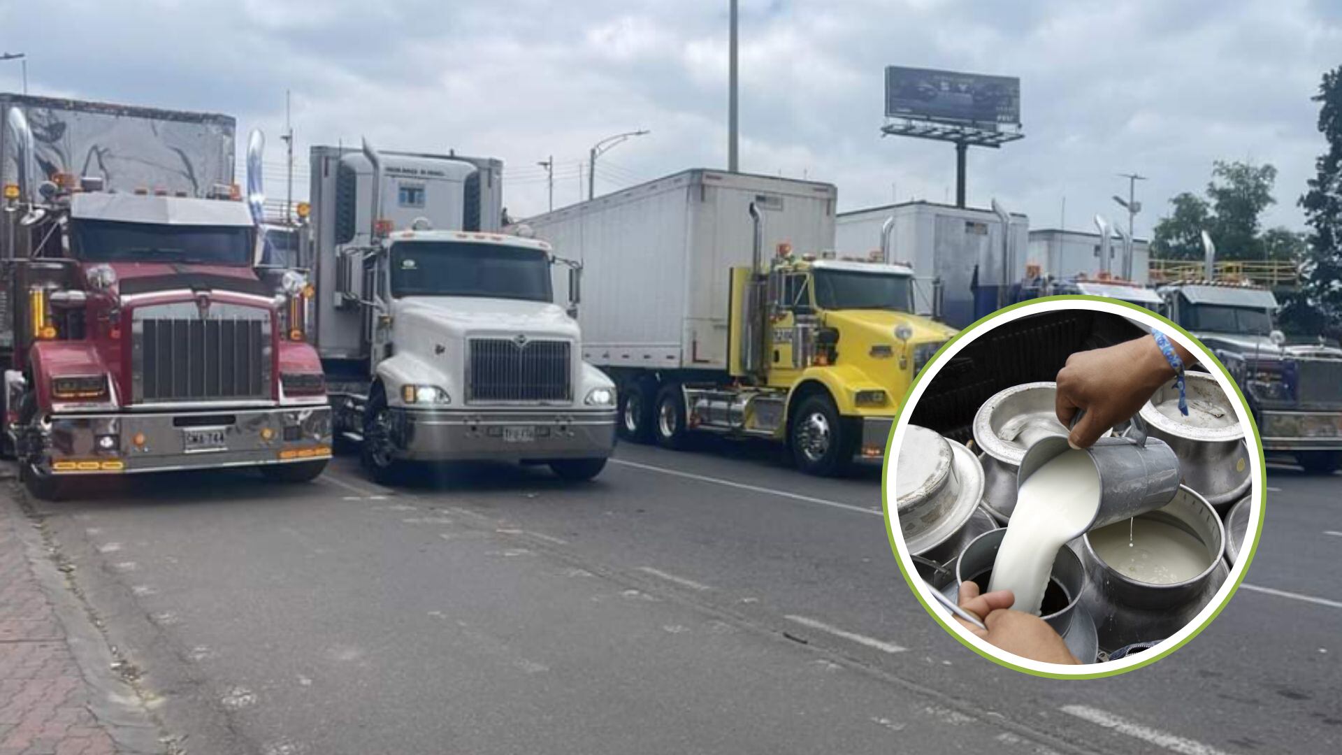 ANLAC advierte que Colombia está a punto de perder cientos de litros de leche por el paro