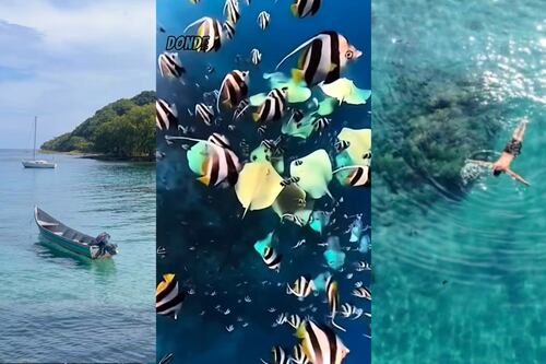 ¿Sin plan de vacaciones? Conozca ‘Bahía el Aguacate’, un paraíso colombiano que cautiva a propios y visitantes
