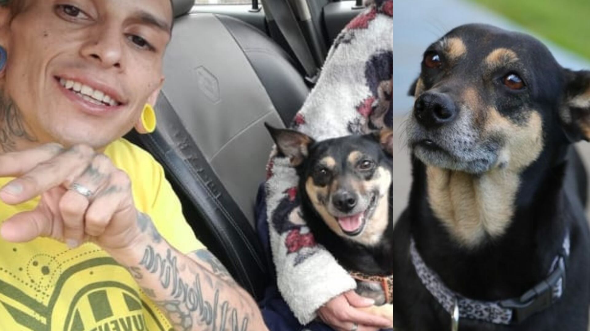 La perrita de Javier Acosta regresó al refugio donde la adoptó y así se despidió de él