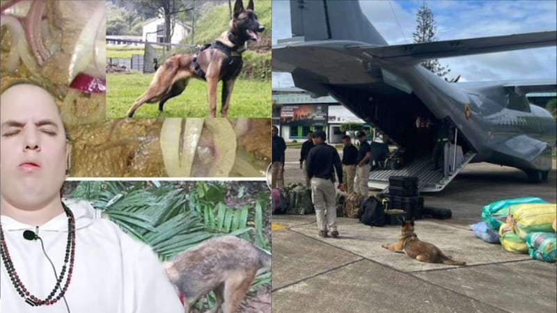 ¿Toda ayuda sirve? Clarividente reveló que es lo que impide el regreso de Wilson de las selvas del Guaviare