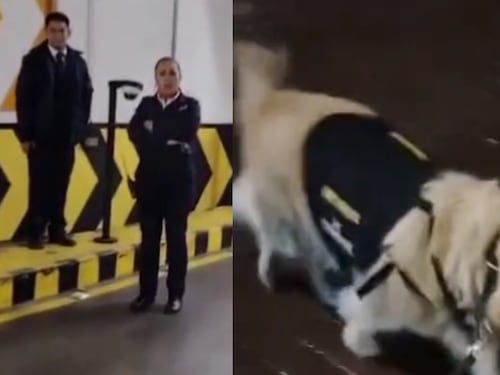 Centro comercial en Bogotá, salió a hablar tras supuesto maltrato a guarda canino