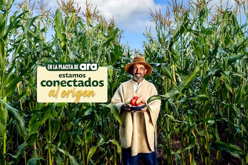 El compromiso de Tiendas ara con el campo colombiano va más allá de las palabras: así impulsa a los productores locales