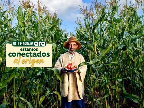 El compromiso de Tiendas ara con el campo colombiano va más allá de las palabras: así impulsa a los productores locales
