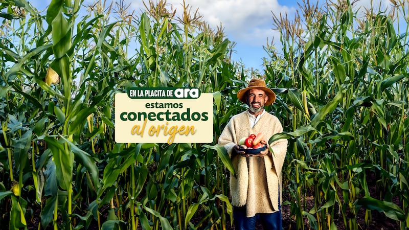 El compromiso de Tiendas ara con el campo colombiano va más allá de las palabras: así impulsa a los productores locales